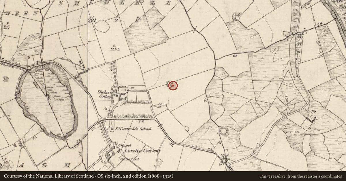 Ordnance Survey six-inch map, 2nd edition (1888–1915) covering the location of Standing stone, Sheheree, County Kerry, with a pin at the register's coordinates