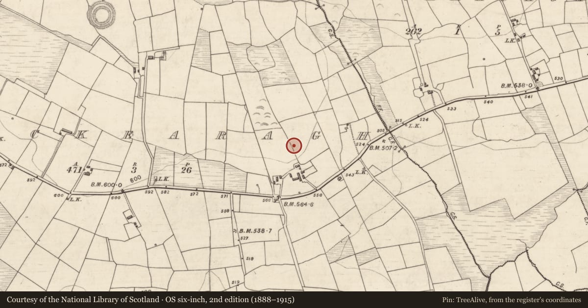 Ordnance Survey six-inch map, 2nd edition (1888–1915) covering the location of Souterrain, Knockearagh, County Kerry, with a pin at the register's coordinates