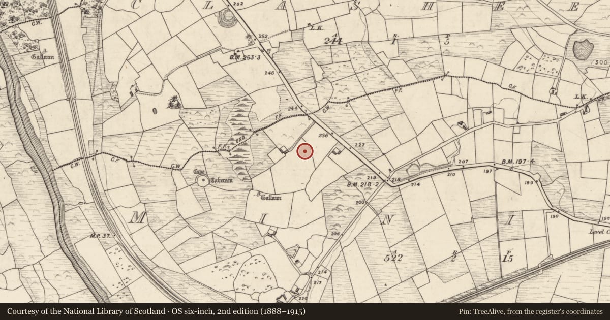 Ordnance Survey six-inch map, 2nd edition (1888–1915) covering the location of Standing stone, Minish, County Kerry, with a pin at the register's coordinates