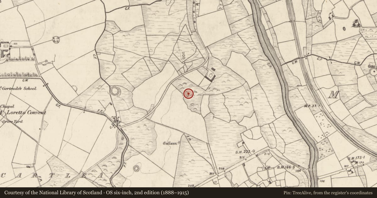 Ordnance Survey six-inch map, 2nd edition (1888–1915) covering the location of Ringfort - rath, Faghcullia, County Kerry, with a pin at the register's coordinates