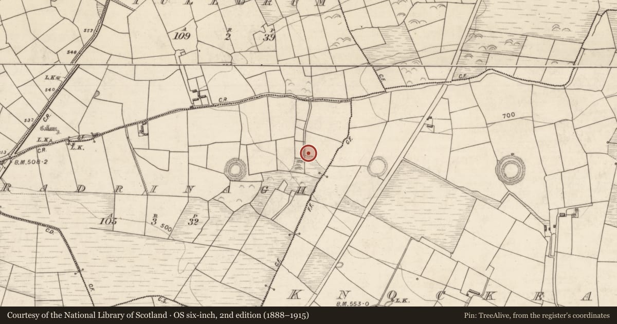 Ordnance Survey six-inch map, 2nd edition (1888–1915) covering the location of Bullaun stone, Radrinagh, County Kerry, with a pin at the register's coordinates