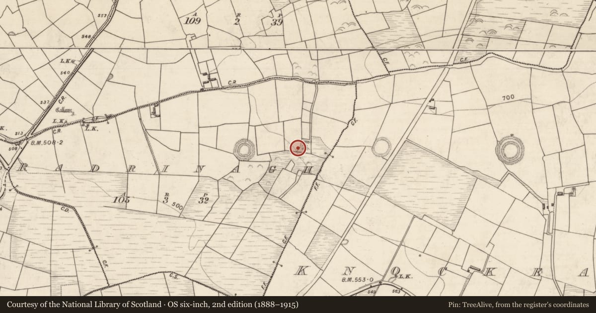 Ordnance Survey six-inch map, 2nd edition (1888–1915) covering the location of Standing stone, Radrinagh, County Kerry, with a pin at the register's coordinates