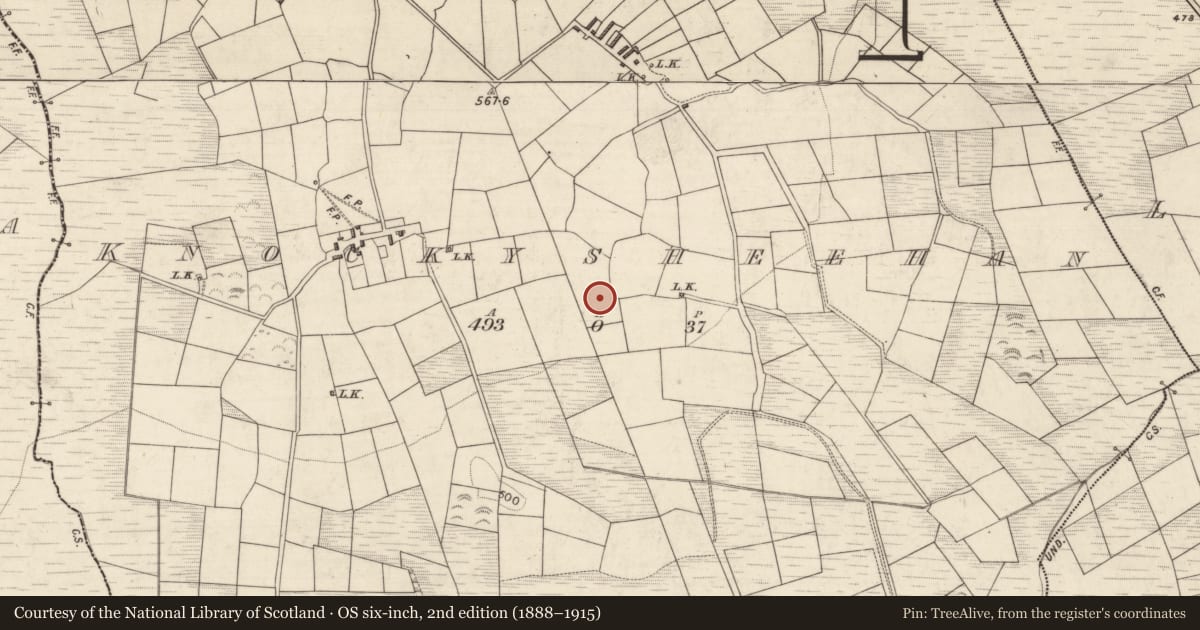 Ordnance Survey six-inch map, 2nd edition (1888–1915) covering the location of Standing stone, Knockysheehan, County Kerry, with a pin at the register's coordinates