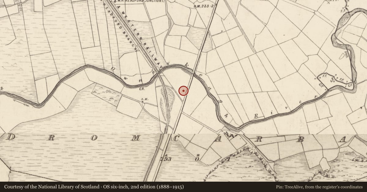 Ordnance Survey six-inch map, 2nd edition (1888–1915) covering the location of Souterrain, Dromcarban, County Kerry, with a pin at the register's coordinates