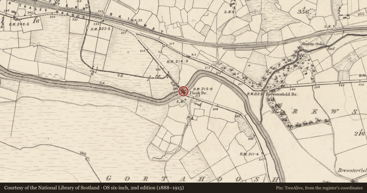 Ordnance Survey six-inch map, 2nd edition (1888–1915) covering the location of Bridge, County Kerry, with a pin at the register's coordinates