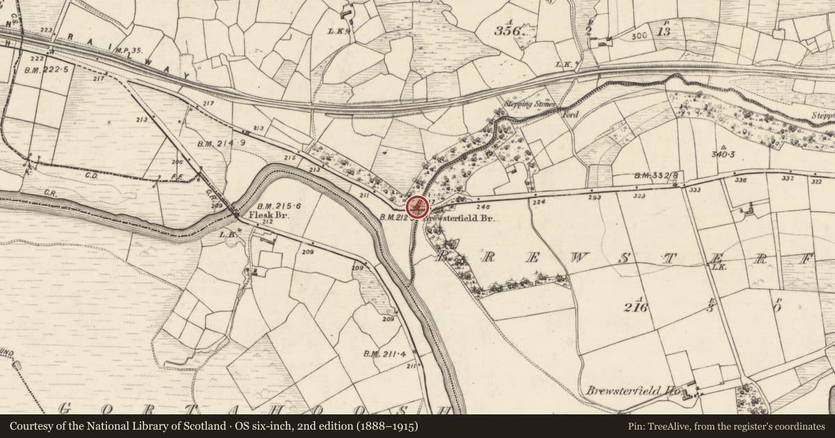 Ordnance Survey six-inch map, 2nd edition (1888–1915) covering the location of Bridge, Brewsterfield, Cloghane, County Kerry, with a pin at the register's coordinates