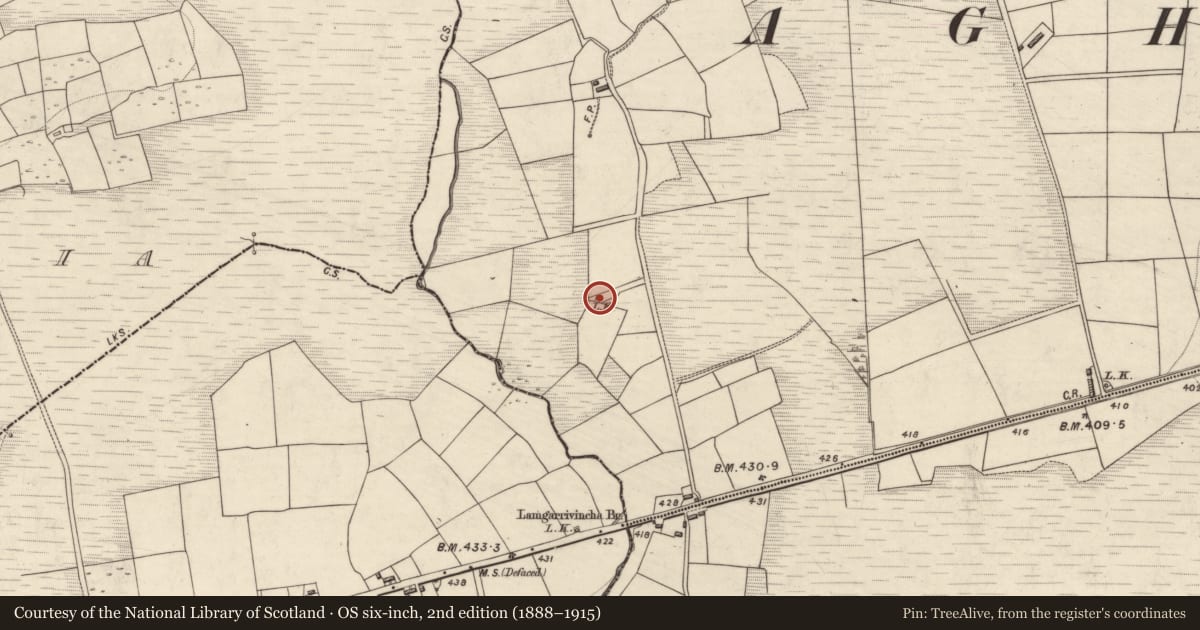Ordnance Survey six-inch map, 2nd edition (1888–1915) covering the location of Kiln - lime, Knockanarroor, County Kerry, with a pin at the register's coordinates