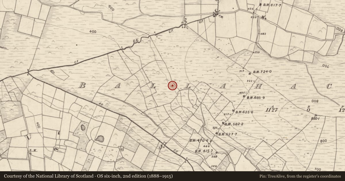 Ordnance Survey six-inch map, 2nd edition (1888–1915) covering the location of Cairn - unclassified, Ballahacommane, County Kerry, with a pin at the register's coordinates