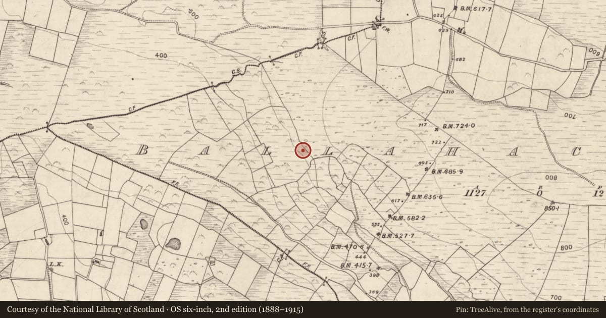 Ordnance Survey six-inch map, 2nd edition (1888–1915) covering the location of Cairn - unclassified, Ballahacommane, County Kerry, with a pin at the register's coordinates