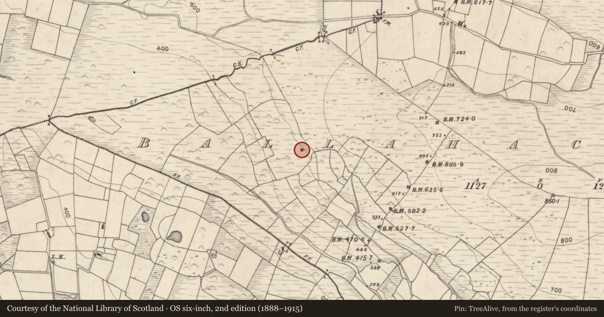Ordnance Survey six-inch map, 2nd edition (1888–1915) covering the location of Cairn - unclassified, Ballahacommane, County Kerry, with a pin at the register's coordinates