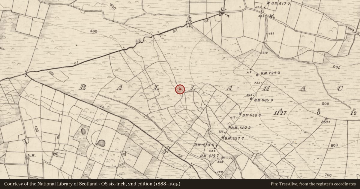 Ordnance Survey six-inch map, 2nd edition (1888–1915) covering the location of Cairn - unclassified, Ballahacommane, County Kerry, with a pin at the register's coordinates