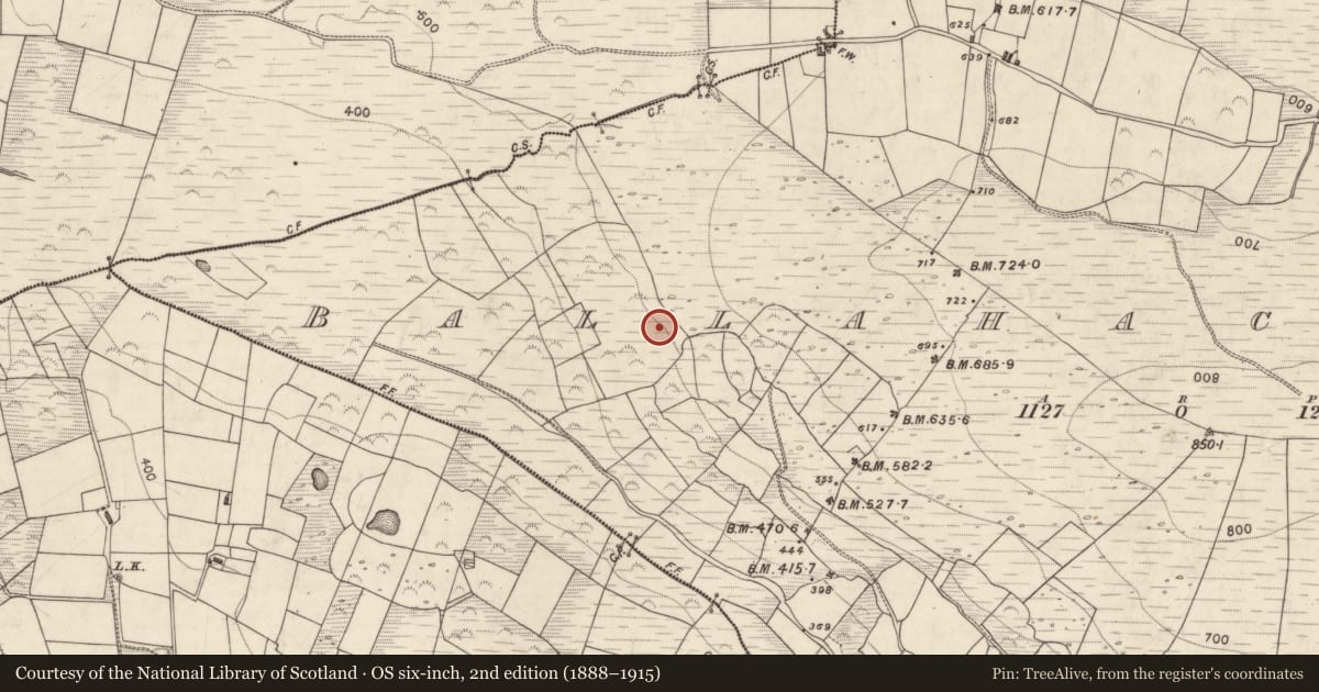 Ordnance Survey six-inch map, 2nd edition (1888–1915) covering the location of Cairn - unclassified, Ballahacommane, County Kerry, with a pin at the register's coordinates