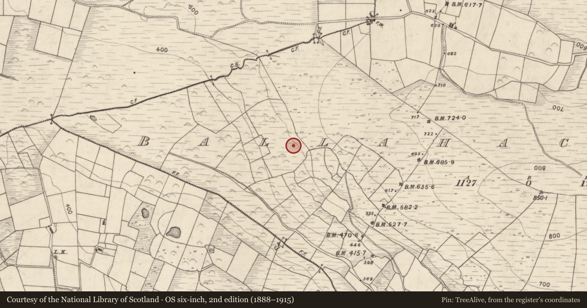 Ordnance Survey six-inch map, 2nd edition (1888–1915) covering the location of Cairn - unclassified, Ballahacommane, County Kerry, with a pin at the register's coordinates