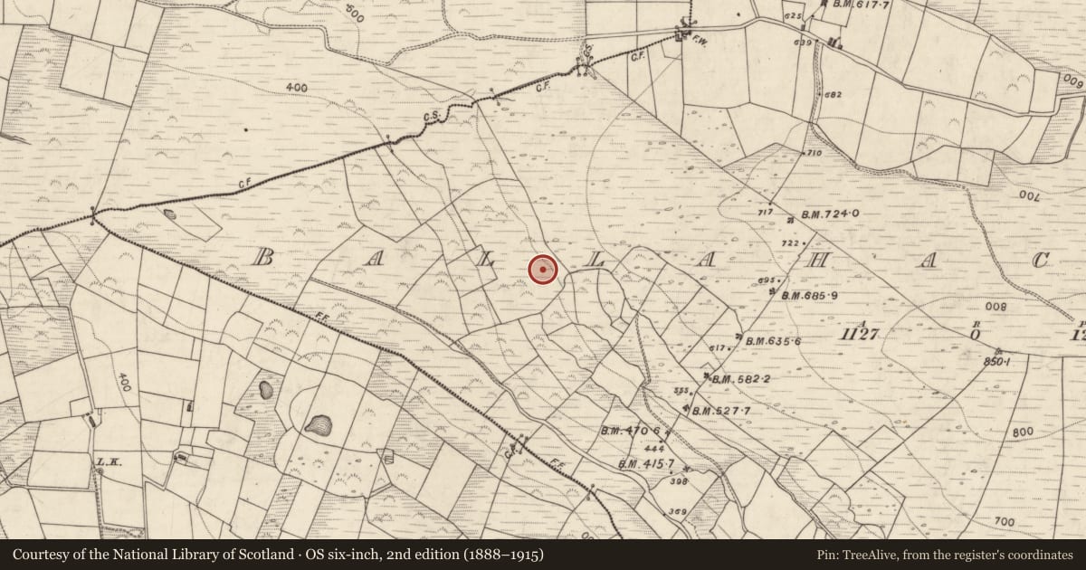 Ordnance Survey six-inch map, 2nd edition (1888–1915) covering the location of Cairn - unclassified, Ballahacommane, County Kerry, with a pin at the register's coordinates