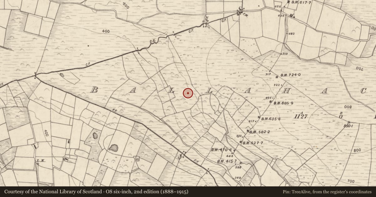 Ordnance Survey six-inch map, 2nd edition (1888–1915) covering the location of Cairn - unclassified, Ballahacommane, County Kerry, with a pin at the register's coordinates