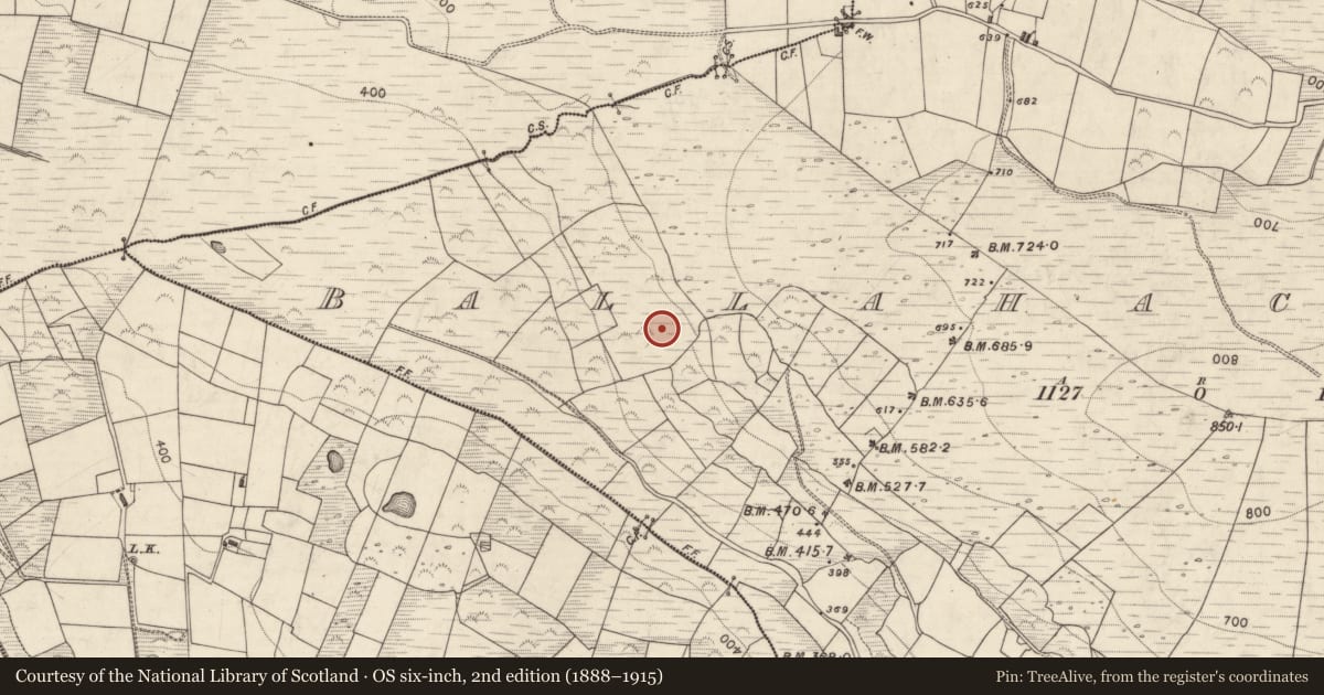 Ordnance Survey six-inch map, 2nd edition (1888–1915) covering the location of Cairn - unclassified, Ballahacommane, County Kerry, with a pin at the register's coordinates
