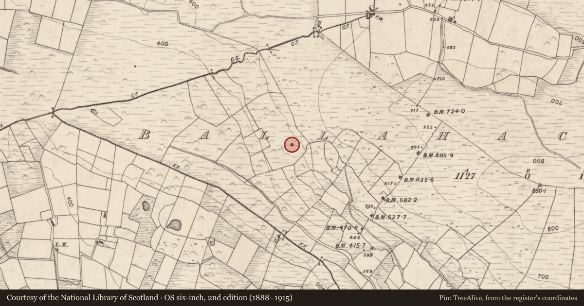 Ordnance Survey six-inch map, 2nd edition (1888–1915) covering the location of Hut site, Ballahacommane, County Kerry, with a pin at the register's coordinates