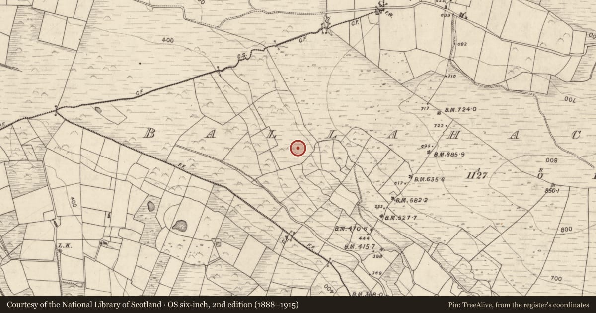 Ordnance Survey six-inch map, 2nd edition (1888–1915) covering the location of Hut site, Ballahacommane, County Kerry, with a pin at the register's coordinates