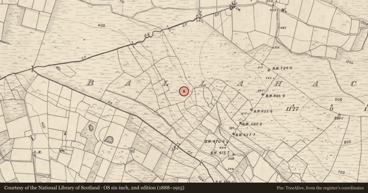 Ordnance Survey six-inch map, 2nd edition (1888–1915) covering the location of Hut site, Ballahacommane, County Kerry, with a pin at the register's coordinates