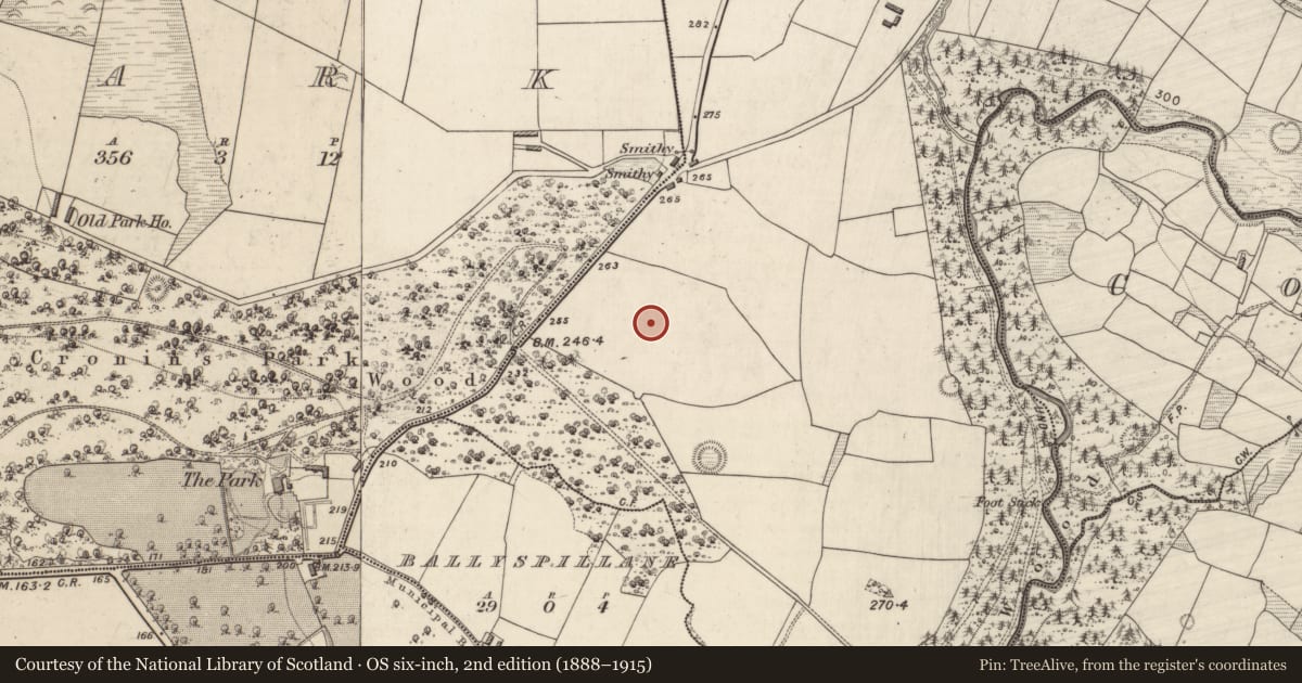 Ordnance Survey six-inch map, 2nd edition (1888–1915) covering the location of Excavation - miscellaneous, Teernaboul, County Kerry, with a pin at the register's coordinates