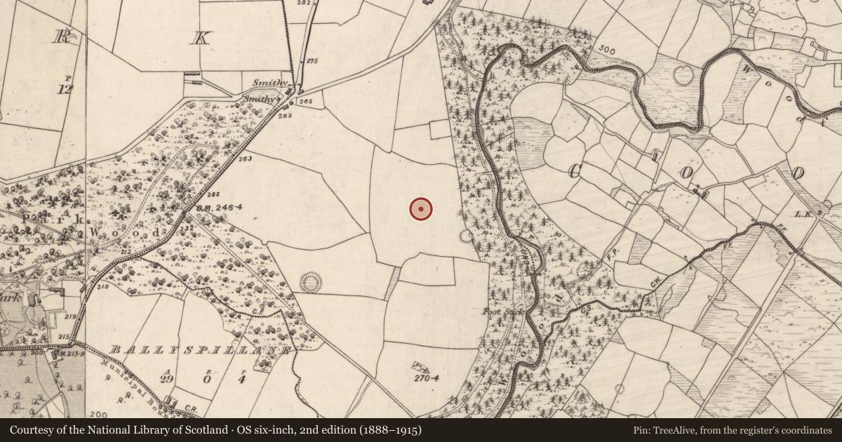 Ordnance Survey six-inch map, 2nd edition (1888–1915) covering the location of Excavation - miscellaneous, Teernaboul, County Kerry, with a pin at the register's coordinates