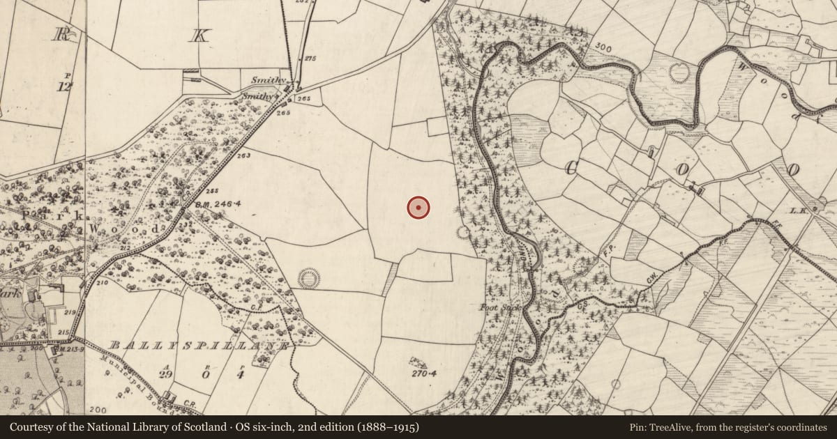 Ordnance Survey six-inch map, 2nd edition (1888–1915) covering the location of Excavation - miscellaneous, Teernaboul, County Kerry, with a pin at the register's coordinates