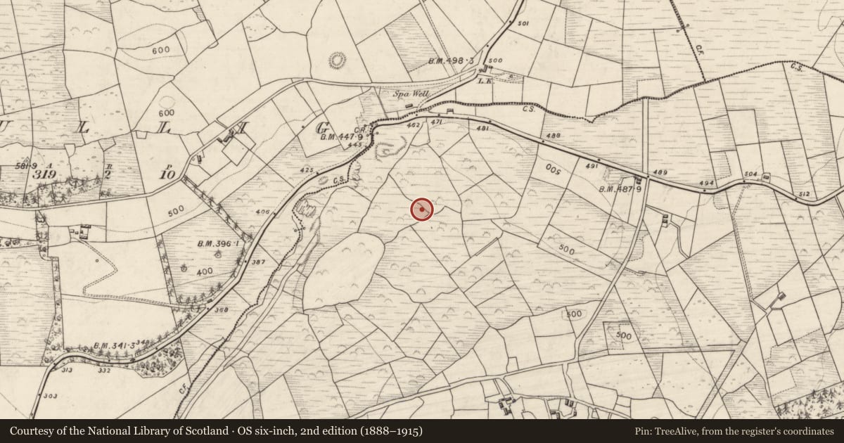 Ordnance Survey six-inch map, 2nd edition (1888–1915) covering the location of Enclosure, Teernaboul, County Kerry, with a pin at the register's coordinates