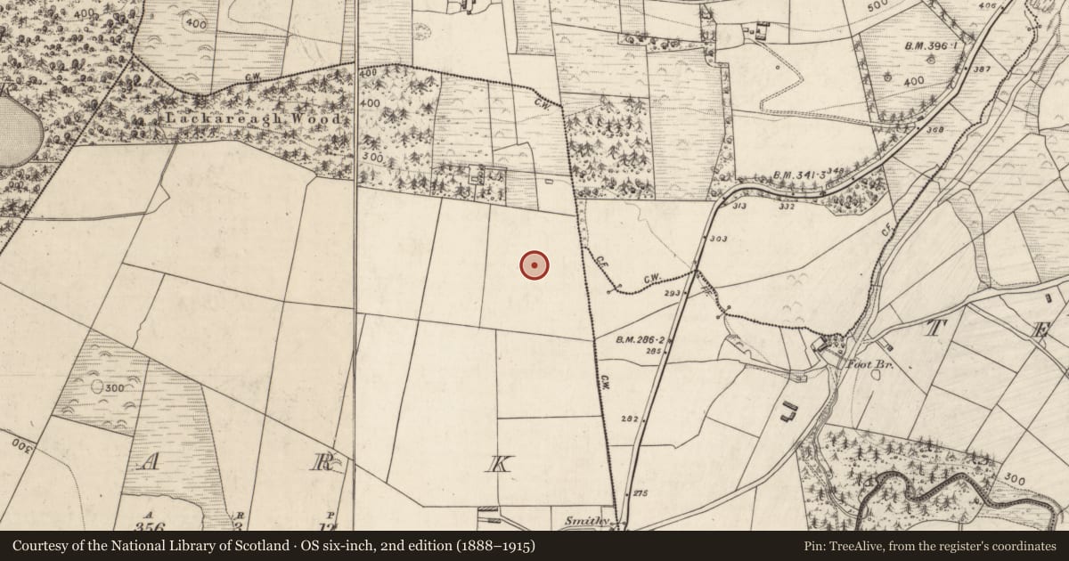 Ordnance Survey six-inch map, 2nd edition (1888–1915) covering the location of Enclosure, Park, County Kerry, with a pin at the register's coordinates