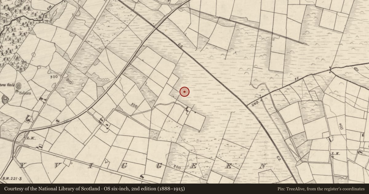Ordnance Survey six-inch map, 2nd edition (1888–1915) covering the location of Enclosure, Lissyviggeen, County Kerry, with a pin at the register's coordinates