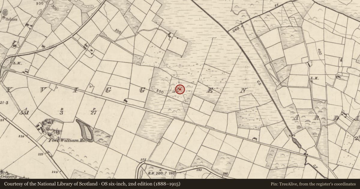 Ordnance Survey six-inch map, 2nd edition (1888–1915) covering the location of Enclosure, Lissyviggeen, County Kerry, with a pin at the register's coordinates