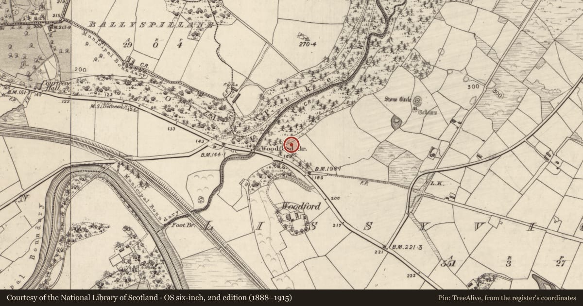 Ordnance Survey six-inch map, 2nd edition (1888–1915) covering the location of Souterrain, Lissyviggeen, County Kerry, with a pin at the register's coordinates