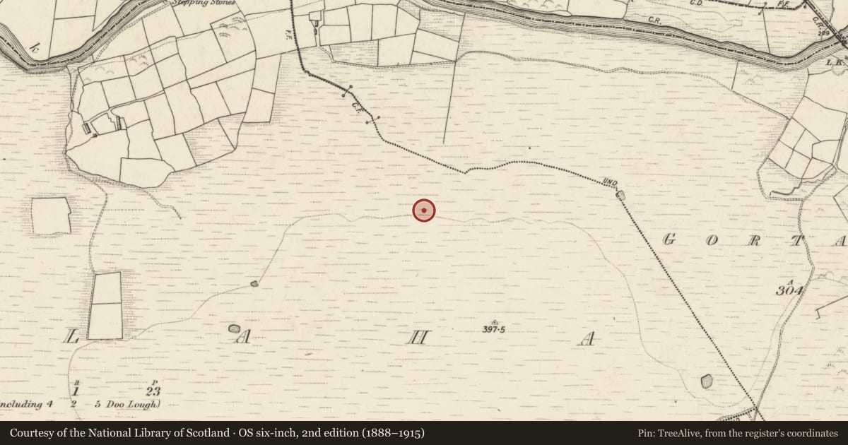 Ordnance Survey six-inch map, 2nd edition (1888–1915) covering the location of Boulder-burial, Tullaha, County Kerry, with a pin at the register's coordinates