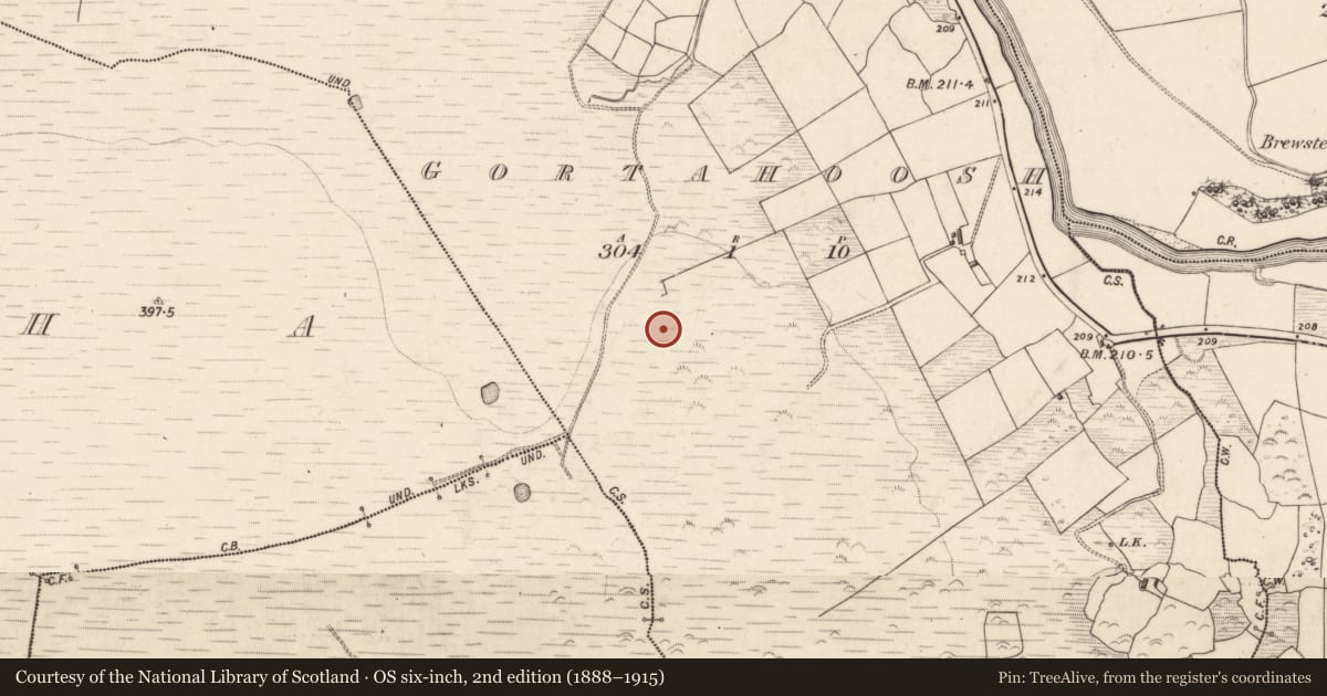 Ordnance Survey six-inch map, 2nd edition (1888–1915) covering the location of Standing stone, Gortahoosh, County Kerry, with a pin at the register's coordinates