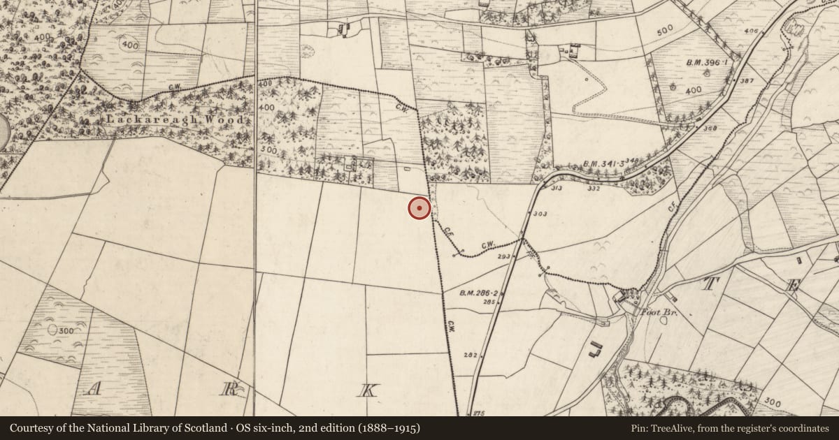 Ordnance Survey six-inch map, 2nd edition (1888–1915) covering the location of Fulacht fia, Park, County Kerry, with a pin at the register's coordinates