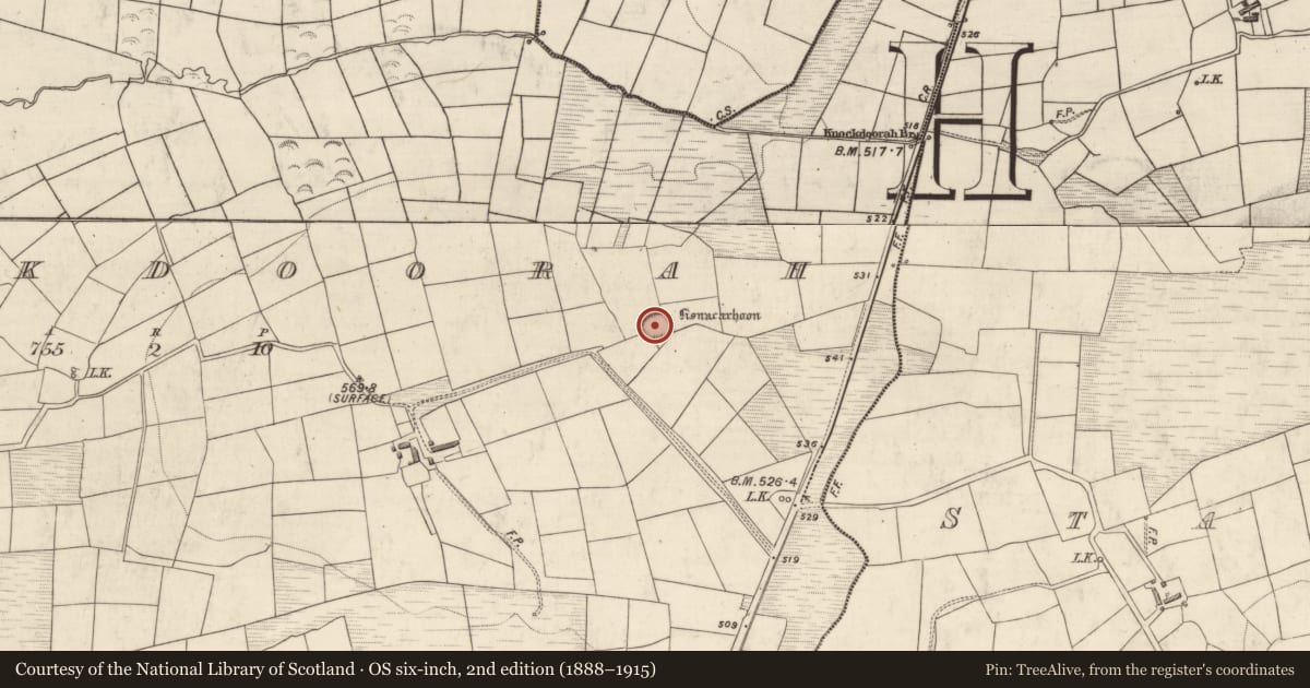 Ordnance Survey six-inch map, 2nd edition (1888–1915) covering the location of Ringfort - rath, Knockdoorah, County Kerry, with a pin at the register's coordinates