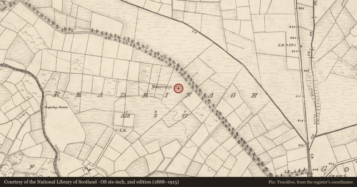 Ordnance Survey six-inch map, 2nd edition (1888–1915) covering the location of Ringfort - rath, Readrinagh, County Kerry, with a pin at the register's coordinates