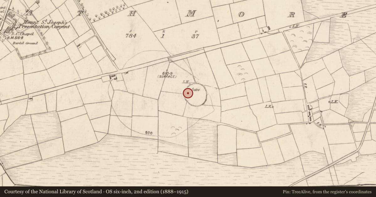 Ordnance Survey six-inch map, 2nd edition (1888–1915) covering the location of Souterrain, Rath More, County Kerry, with a pin at the register's coordinates