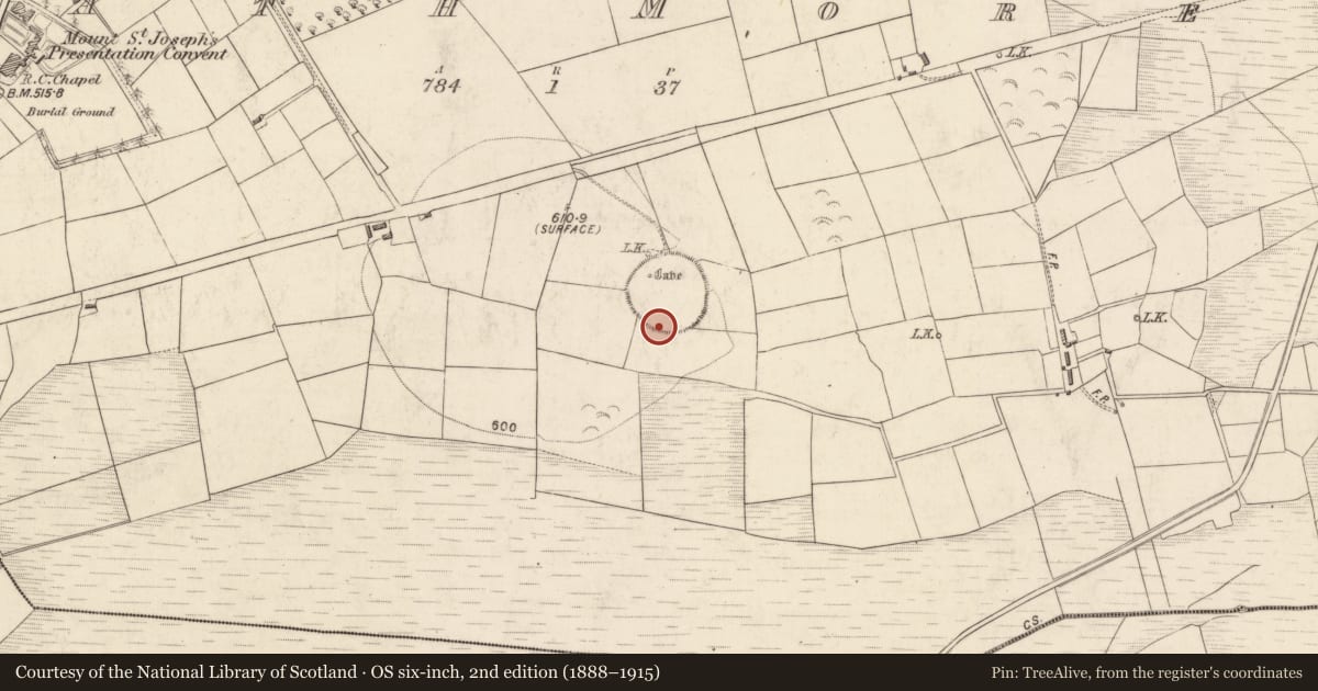 Ordnance Survey six-inch map, 2nd edition (1888–1915) covering the location of Bullaun stone, Rath More, County Kerry, with a pin at the register's coordinates
