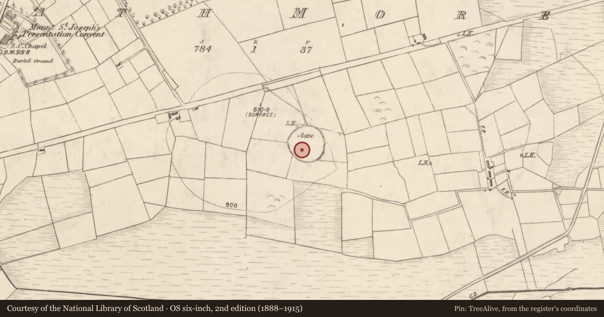 Ordnance Survey six-inch map, 2nd edition (1888–1915) covering the location of Children's burial ground, Rath More, County Kerry, with a pin at the register's coordinates