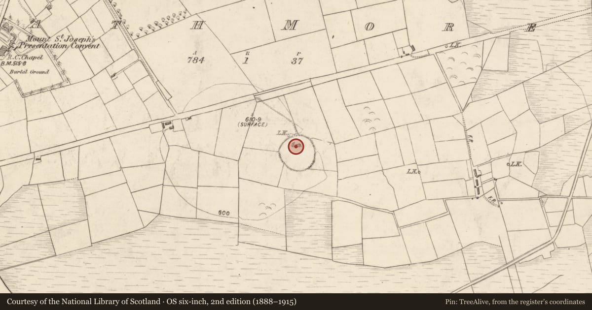 Ordnance Survey six-inch map, 2nd edition (1888–1915) covering the location of Enclosure, Rath More, County Kerry, with a pin at the register's coordinates