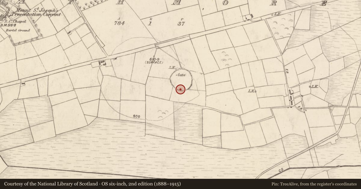 Ordnance Survey six-inch map, 2nd edition (1888–1915) covering the location of Enclosure, Rath More, County Kerry, with a pin at the register's coordinates