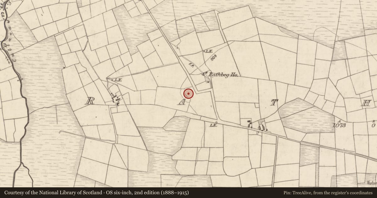 Ordnance Survey six-inch map, 2nd edition (1888–1915) covering the location of Ringfort - rath, Rath Beg, County Kerry, with a pin at the register's coordinates