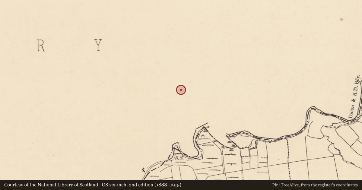Ordnance Survey six-inch map, 2nd edition (1888–1915) covering the location of Barrow - ring-barrow, Shinnagh, County Kerry, with a pin at the register's coordinates