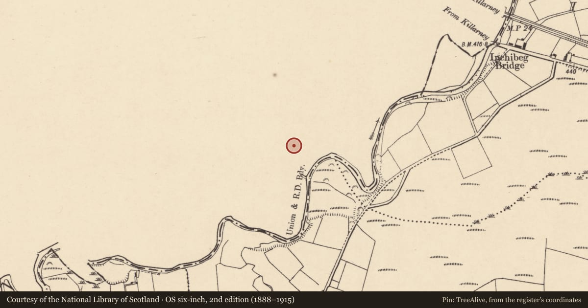 Ordnance Survey six-inch map, 2nd edition (1888–1915) covering the location of Enclosure, Shinnagh, County Kerry, with a pin at the register's coordinates