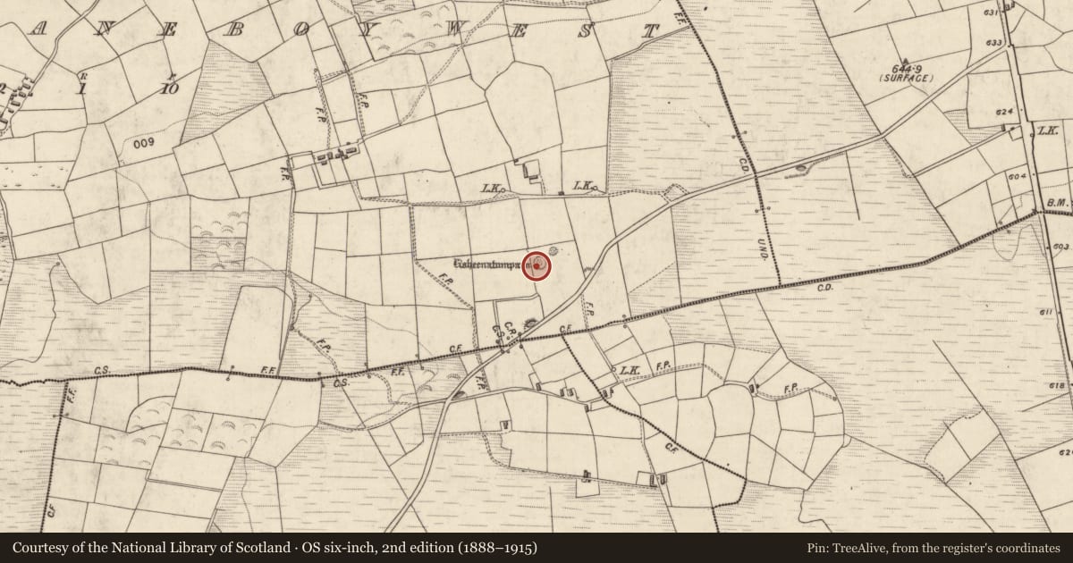 Ordnance Survey six-inch map, 2nd edition (1888–1915) covering the location of Barrow - ring-barrow, Gortanahaneboy West, County Kerry, with a pin at the register's coordinates
