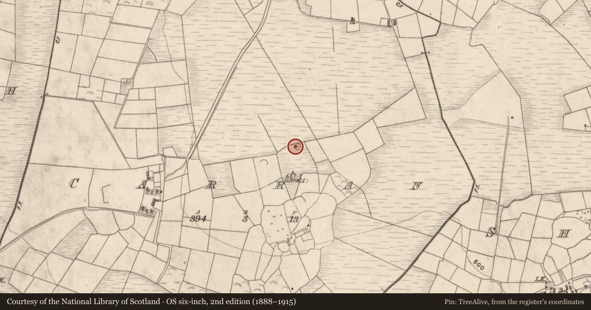 Ordnance Survey six-inch map, 2nd edition (1888–1915) covering the location of Barrow - ring-barrow, Carran, County Kerry, with a pin at the register's coordinates