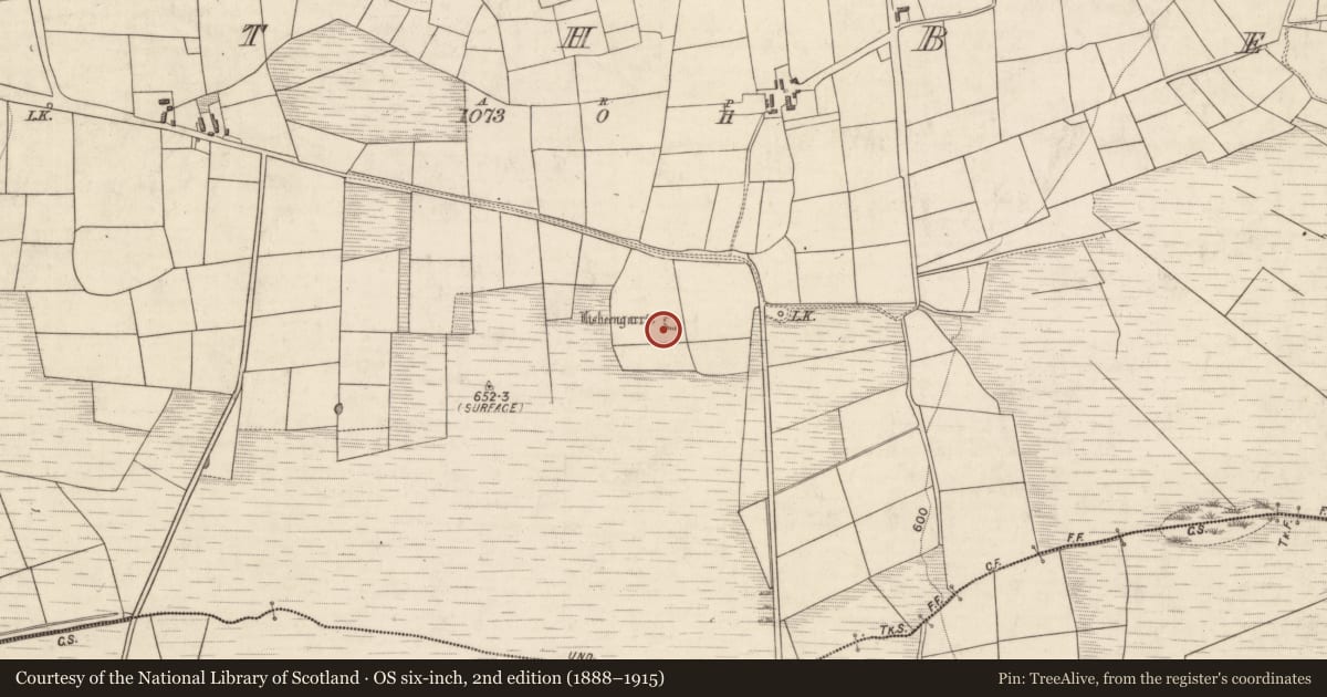 Ordnance Survey six-inch map, 2nd edition (1888–1915) covering the location of Ringfort - rath, Rath Beg, County Kerry, with a pin at the register's coordinates