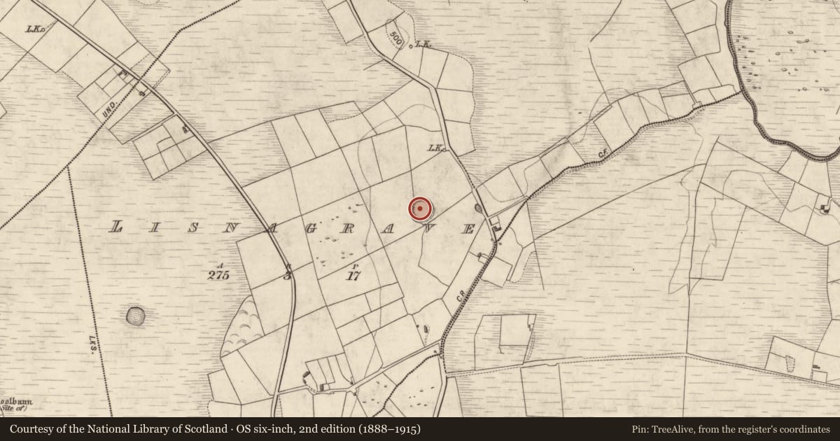 Ordnance Survey six-inch map, 2nd edition (1888–1915) covering the location of Ringfort - rath, Lisnagrave, County Kerry, with a pin at the register's coordinates