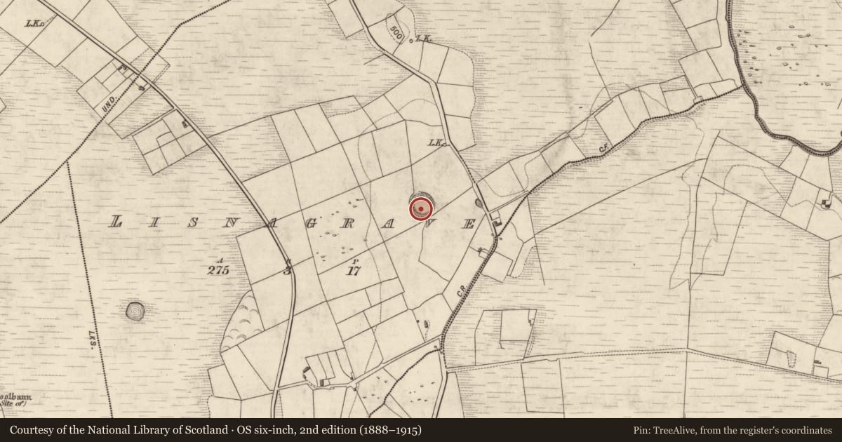 Ordnance Survey six-inch map, 2nd edition (1888–1915) covering the location of Souterrain, Lisnagrave, County Kerry, with a pin at the register's coordinates