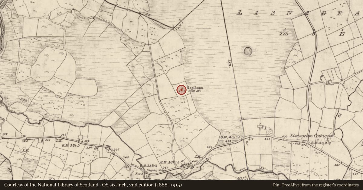 Ordnance Survey six-inch map, 2nd edition (1888–1915) covering the location of Ringfort - rath, Drom, County Kerry, with a pin at the register's coordinates